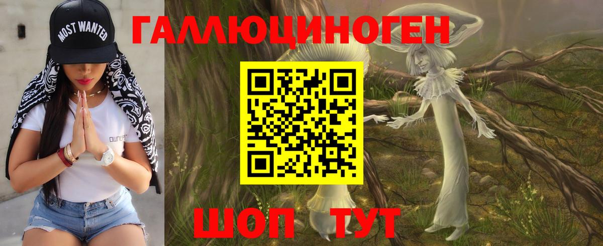 Галлюциногенные грибы Psilocybe  Вход с VPN  Новочебоксарск 